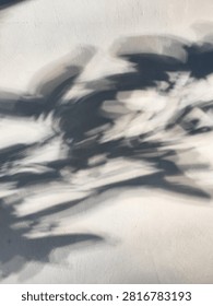 abstract pattern of leaf shadows on the wall creates a monochromatic contrast.