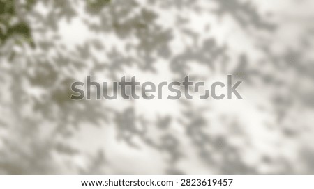 Abstract pattern of light and shadow created by tree leaves and branches on a bright, textured background.
