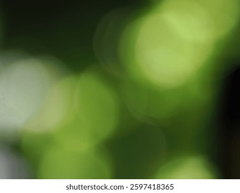 Abstract pattern of overlapping blurred light green circles on a darker green background