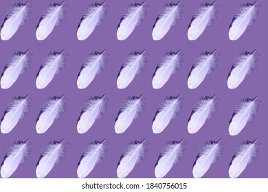 Abstract pattern. Repeating white feather on a purple background. Textured background of bird feathers lying in a row. Abstract geometric purple background.Art photo concept.