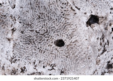 An abstract pattern and shapes in cement background with holes.