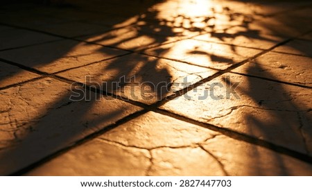 Abstract pattern of sunlight and shadows cast on a textured, cracked pavement surface.