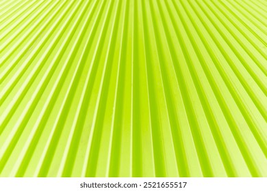 Abstract pattern texture Background. close up of a lime green background with lines. metal roofing geometric lines diagonal stripe. Striped embossed lime green paper. Colored paper. neon color texture
