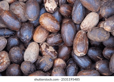 Abstract pattern and texture of brown nutmeg seeds. Spices for cooking seasoning. Round oval shape like capsules - Powered by Shutterstock