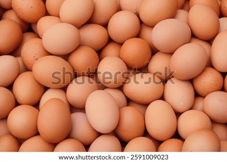 Abstract pattern and texture of a pile of chicken eggs. For graphic design, 3D rendering and banner background