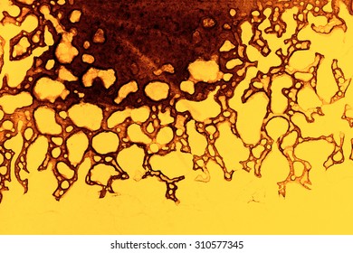 Abstract pattern in yellow and brown. Macro of a leaked liquid. 