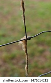 Abstract Perspective Of Fence At Family Farm, Fence Has Animal Hair Attached To It