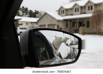 Abstract Photo Of Dog With Head Out Of Car Window Captured Through The Rear View Mirror 