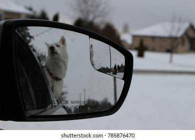 Abstract Photo Of Dog With Head Out Of Car Window Captured Through The Rear View Mirror 