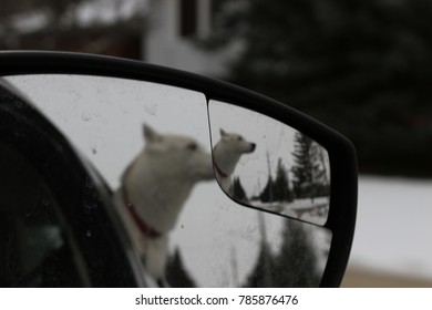 Abstract Photo Of Dog With Head Out Of Car Window Captured Through The Rear View Mirror 