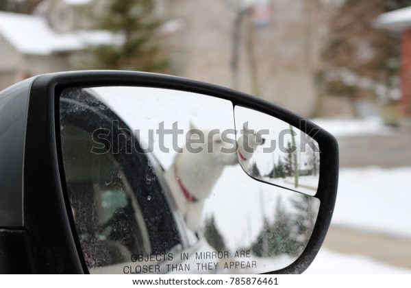 Abstract photo of dog with head out of car\
window captured through the rear view mirror\

