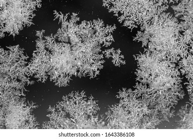 An Abstract Photo Of A Pattern Of Frost On A Piece Of Glass.  The Macro Is A Black And White Textured Frosty Crystal Snowflakes. The Unique Patterns Of Silver Ice Crystals Frosted The Clear Glass.