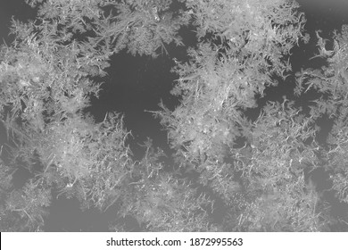 An Abstract Photo Of A Pattern Of Frost On A Piece Of Glass.  The Macro Is A Black And White Textured Frosty Crystal Snowflakes. The Unique Patterns Of Silver Ice Crystals Frosted The Clear Glass.