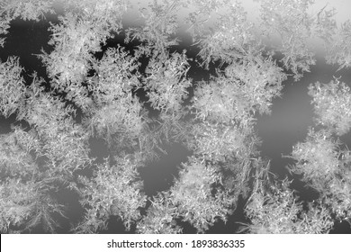 An Abstract Photo Of A Pattern Of Frost On A Piece Of Glass.  The Macro Is A Black And White Textured Frosty Crystal Snowflakes. The Unique Patterns Of Silver Ice Crystals Frosted The Clear Glass.