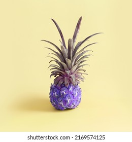 10,484 Purple pineapple Images, Stock Photos & Vectors | Shutterstock