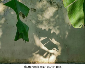 Abstract Photo, Shadow Of A Banana Leaf On A Wall.