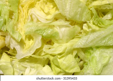 Abstract Photo Of Shredded Lettuce