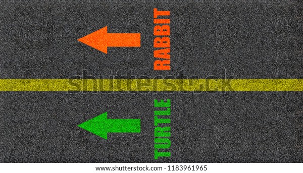 Abstract photo,Compare\
between rabbit and turtle or fast and slow. Background of asphalt\
road.