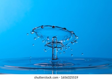 水王冠库存照片 图片和摄影作品 Shutterstock