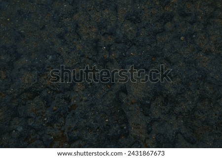 abstract photographs of the ground with dirt and snow. 