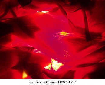 Abstract Photography. Red Petals Of Tulips On The Lumen. Background.