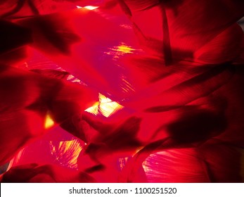 Abstract Photography. Red Petals Of Tulips On The Lumen. Background.