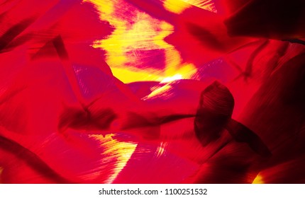 Abstract Photography. Red Petals Of Tulips On The Lumen. Background.