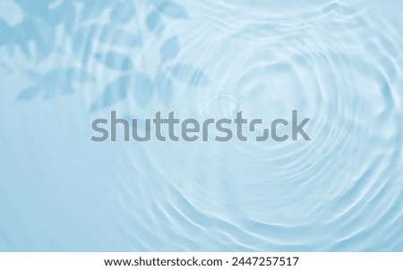 Similar – Image, Stock Photo Tree reflection in the window