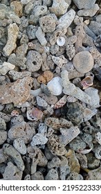 Abstract Pile Of Dead Coral Reef.