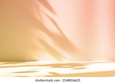 Abstract pink color gradient studio background for product presentation. Empty room with shadows of window and flowers and palm leaves . 3d room with copy space. Summer concert. Blurred backdrop. Foto Stok