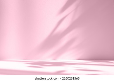 Abstract pink color gradient studio background for product presentation  Empty room and shadows window   flowers   palm leaves   3d room and copy space  Summer concert  Blurred backdrop 