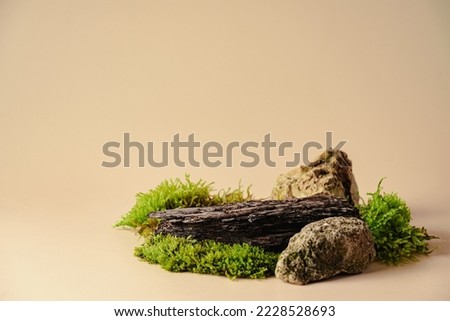 Abstract podium for organic cosmetic products. Natural style. bark tree podium with green moss on pastel background. Still life for the presentation of cosmetic products. Copy space