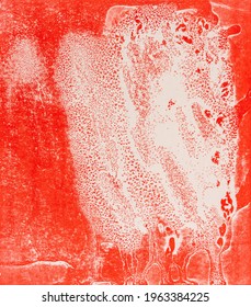 Abstract Printmaking Texture On Paper Background,  Hand Rolled In Red Ink 