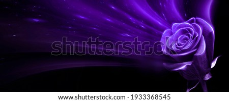 Abstract purple neon background. Abstract purple rose, neon light, glare. Magic flower.