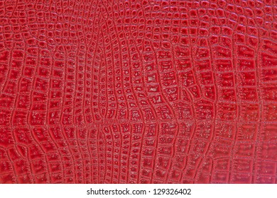 3,748 Red crocodile leather Stock Photos, Images & Photography ...