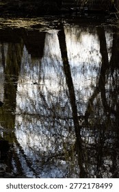 Abstract reflection of trees and sky ripples across dark water forming shimmering patterns. Vertical frame emphasizes texture and contrast for a moody natural scene with painterly feel.