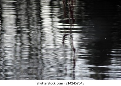 Abstract Reflections Of A Dark Water Lake.. Horizontal Photo.