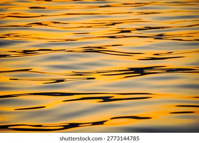 Abstract reflections on the water's surface, vibrant colors.