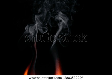An abstract representation of smoke and flame set against a black background, showcasing graceful movement and captivating colors to evoke emotion and depth.