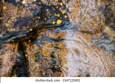 abstract of river/stream flowing over rocks of a waterfall with autumn orange/yellow birch leaves laying next to flow of water.
