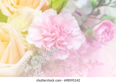 Abstract Romantic Pink Roses Flower
