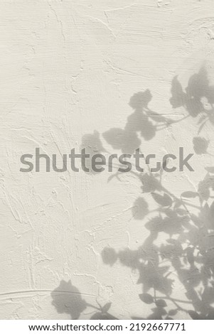 Abstract rose flowers shadows on beige concrete wall texture. Abstract trendy colored nature concept background. Copy space for text overlay, poster mockup flat lay 