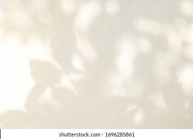 Abstract Rose Gold Light Bokeh Of Natural Leaves Shadow Blurred Background Of Tree Branch Fon White Concrete Wall Texture, Nature Art On Wall, Pink Rose Gold Shadow On White Background
