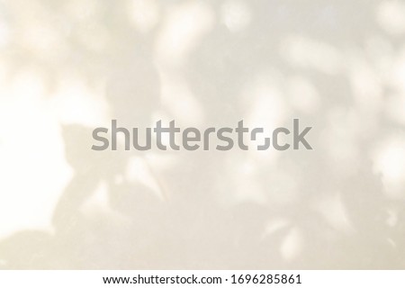 Abstract rose gold light bokeh of natural leaves shadow blurred background of tree branch fon white concrete wall texture, nature art on wall, pink rose gold shadow on white background