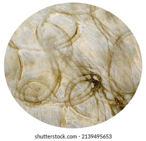 An Abstract Round Pattern Of Vehicle Tyre Tracks Running Over Salt Flats. Drone Overhead Aerial View Of Texture In The Fine-grained Sediment.