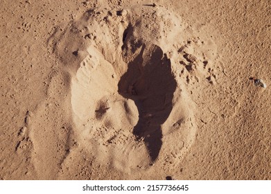 Abstract sand background. Horseshoe imprint in sand - Shutterstock ID 2157736645