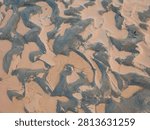 Abstract sand patterns on a beach. Natural textured background of wet dark sand and silt.
