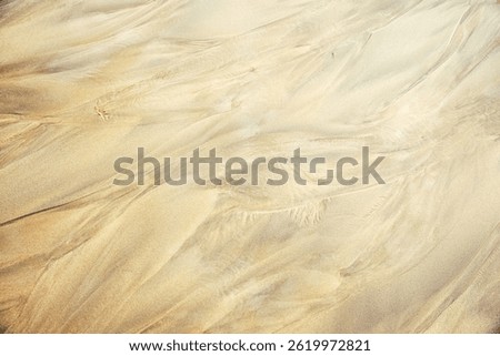 Abstract sand surface with wave lines after sea flow. Ideal for eco-friendly, minimal and design backgrounds