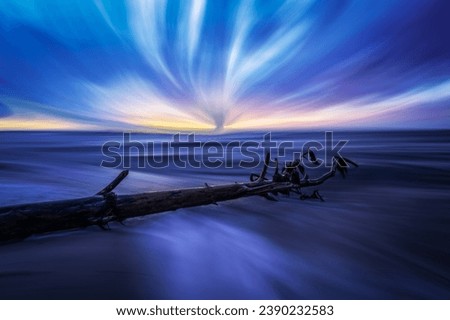 Abstract scene with tree trunk on beach with motion blur effect