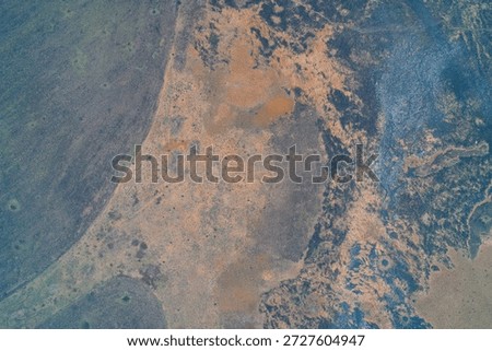 Abstract scorched earth pattern with dark soot and yellow dry vegetation representing climate crisis and land degradation Drone shot view